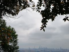 -火炉山森林公园