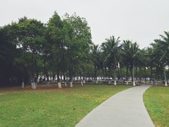 -万绿园