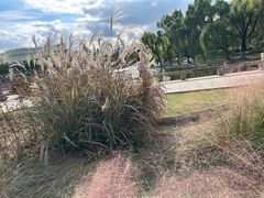 -上海大学(宝山校区)