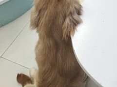 -怪兽屋·羊驼·猫咖·狗咖(俊华广场店)