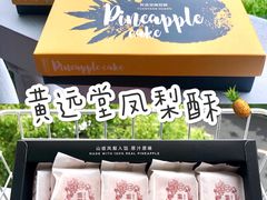 凤梨酥-黄远堂凤梨酥·伴手礼(中山路六店)