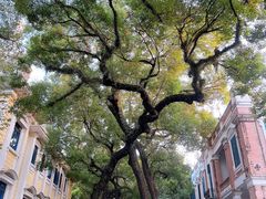 -星巴克臻选(广州沙面店)