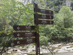 -青峰峡国家森林公园