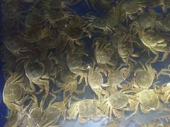 -蟹小姐节气生鲜·年货(高新店)
