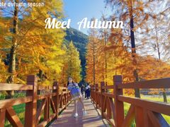 -广州市石门国家森林公园