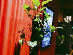 -万达影城(闵行颛桥万达广场杜比影院店)