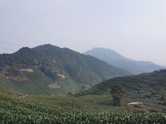 -午潮山国家森林公园