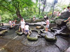 -成都市活水公园