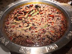 -刘掌门鲜货火锅(东门口店)