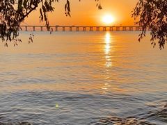 -宝安西湾红树林湿地公园