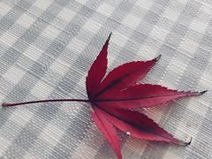 -星巴克(南京同曦万尚城店)