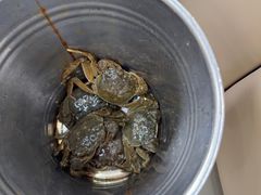 -仙螺岛海鲜自助餐厅(总店)