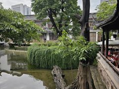-龙潭水乡