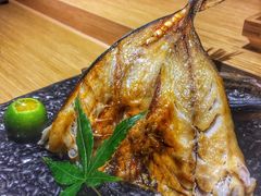 六线鱼一夜干-紫· 割烹  Kappo Murasaki