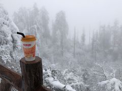 -瓦屋山景区