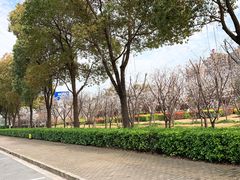 -上海虹桥西郊假日酒店