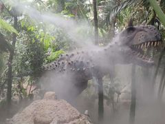 -呀路古热带植物园