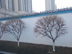 -世东国际