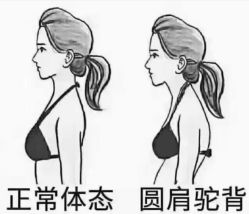 -一伽瑜伽·普拉提