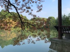 -八大山人梅湖景区