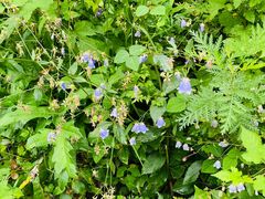 -玉渡山自然风景区