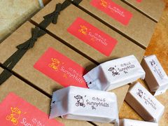 -微热山丘(台北民生公园门市店)