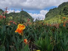 -靖西鹅泉风景区