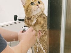 -comecome来吧宠物(奥克斯中心店)