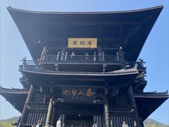-大唐贡茶院