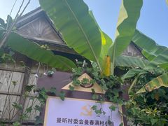 -西双版纳傣族园