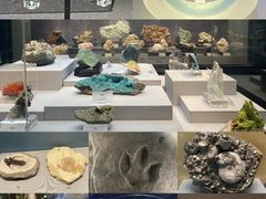 -湖南省地质博物馆