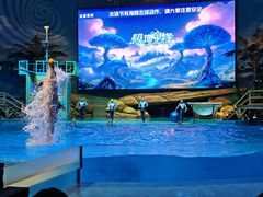 -海合安武汉极地海洋公园
