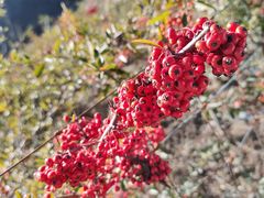 -叠溪松坪沟景区