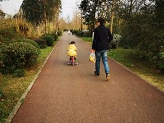 -白鹭湾湿地公园