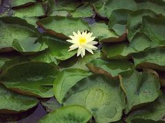 iphone_upload_pic-上海海湾国家森林公园