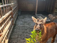 -养云安缦吧THE BAR