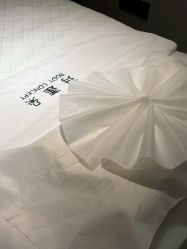 点击看大图 -玛莲朵·海菲秀冰珀科