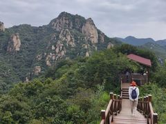 -大岭沟猕猴桃谷风景区
