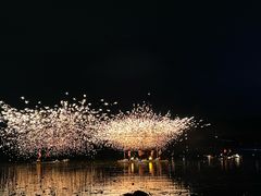 -长田漾湿地公园
