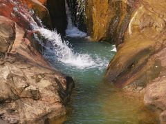 -广州白江湖森林公园