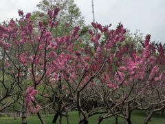 -元大都城垣遗址公园