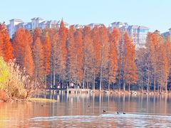 -长广溪湿地公园