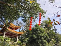 -深圳仙湖植物园