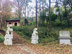 -南京老山国家森林公园