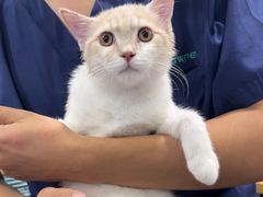 -佳雯宠物医院·皮肤科·内外科(春晓路分院)