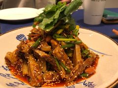 -院8里·少城记忆老川菜(宽窄巷子店)