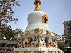 -护国法轮寺