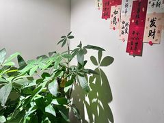 -1937青岛老味道·海肠捞饭·青岛菜(大鲍岛栈桥店)