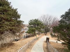 -北京西山国家森林公园