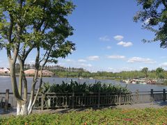 -上海长兴岛郊野公园